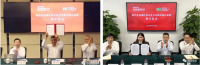 中國寶武，究竟儲備了多少鐵礦？